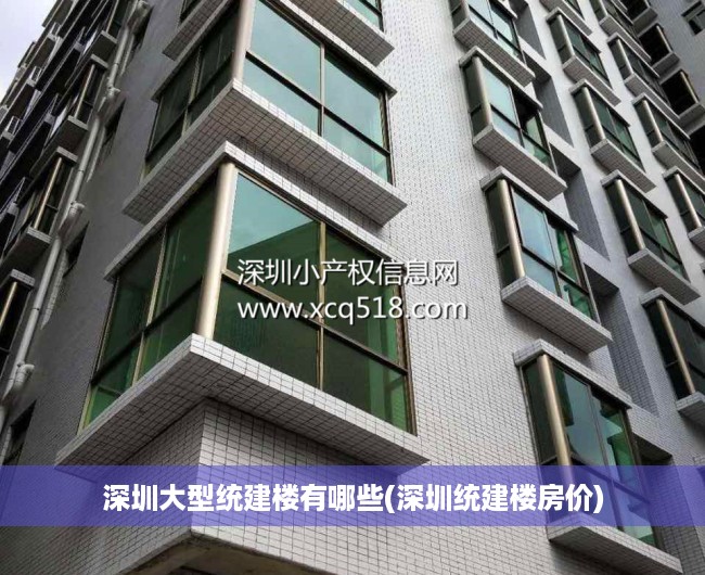 深圳大型统建楼有哪些(深圳统建楼房价) 深圳大型统建楼有哪些(深圳统建楼房价)