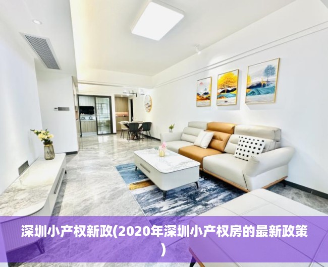 深圳小产权新政(2020年深圳小产权房的最新政策)
