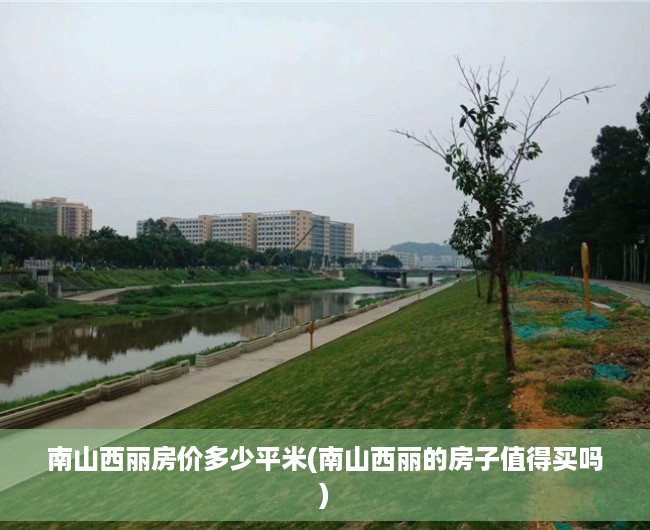 南山西丽房价多少平米(南山西丽的房子值得买吗) 南山西丽房价多少平米(南山西丽的房子值得买吗)