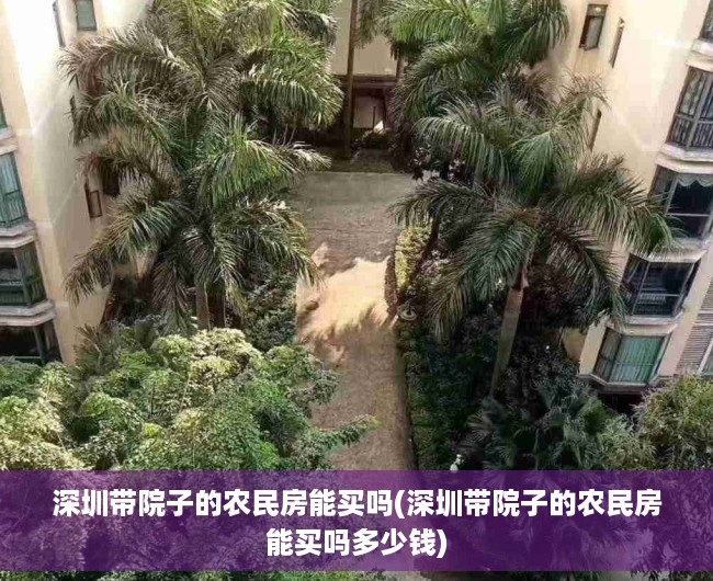深圳带院子的农民房能买吗(深圳带院子的农民房能买吗多少钱)