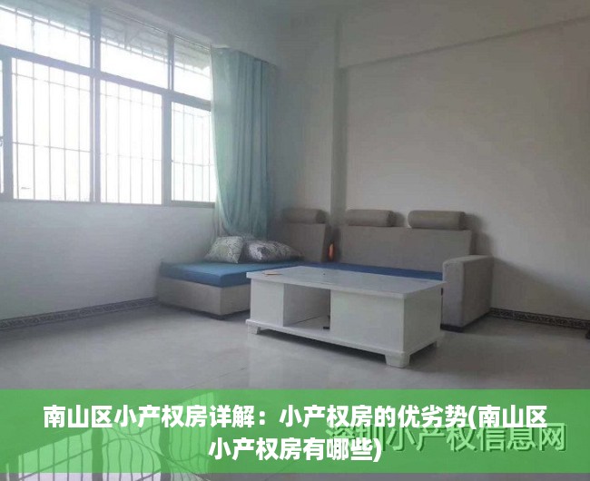 南山区小产权房详解：小产权房的优劣势(南山区小产权房有哪些)