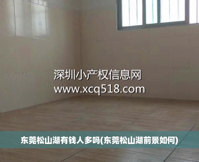 东莞松山湖有钱人多吗(东莞松山湖前景如何)