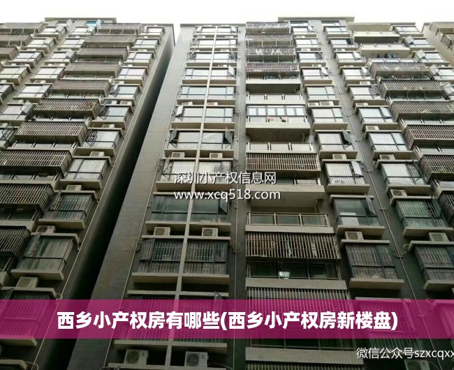 西乡小产权房有哪些(西乡小产权房新楼盘)