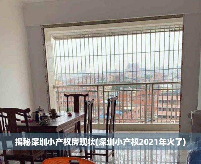 揭秘深圳小产权房现状(深圳小产权2021年火了)