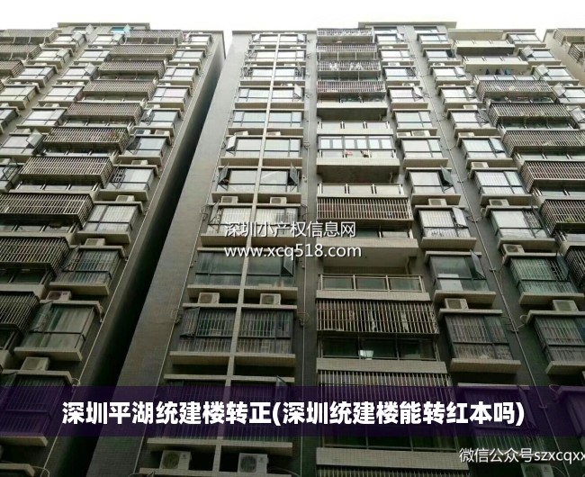 深圳平湖统建楼转正(深圳统建楼能转红本吗) 深圳平湖统建楼转正(深圳统建楼能转红本吗)