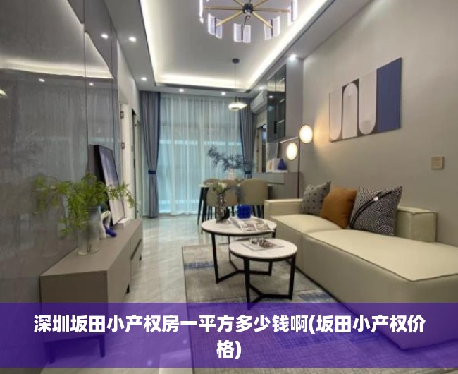 深圳坂田小产权房一平方多少钱啊(坂田小产权价格) 深圳坂田小产权房一平方多少钱啊(坂田小产权价格)