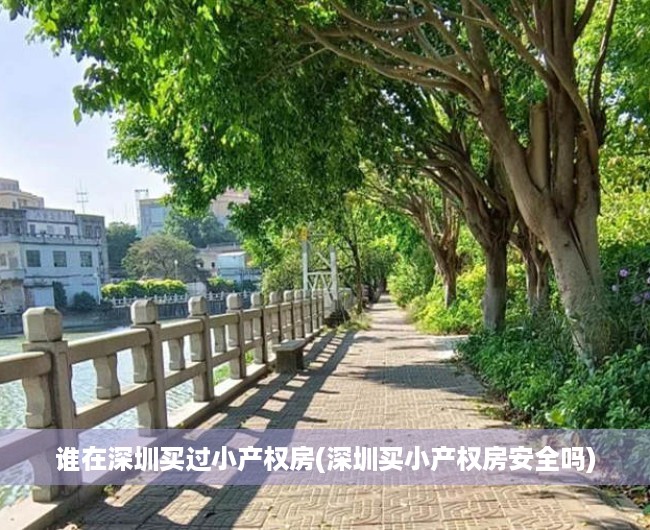 谁在深圳买过小产权房(深圳买小产权房安全吗) 谁在深圳买过小产权房(深圳买小产权房安全吗)