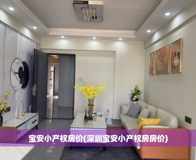 宝安小产权房价(深圳宝安小产权房房价)