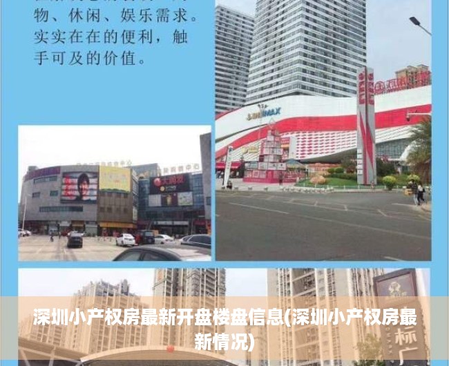 深圳小产权房最新开盘楼盘信息(深圳小产权房最新情况)