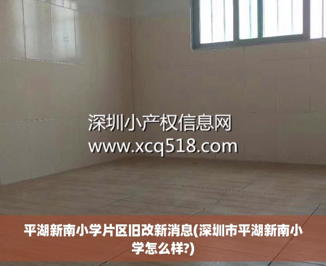 平湖新南小学片区旧改新消息(深圳市平湖新南小学怎么样?)