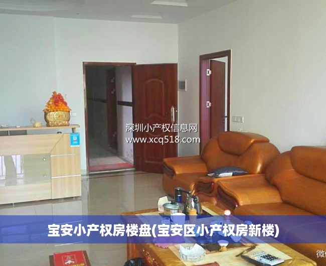宝安小产权房楼盘(宝安区小产权房新楼) 宝安小产权房楼盘(宝安区小产权房新楼)