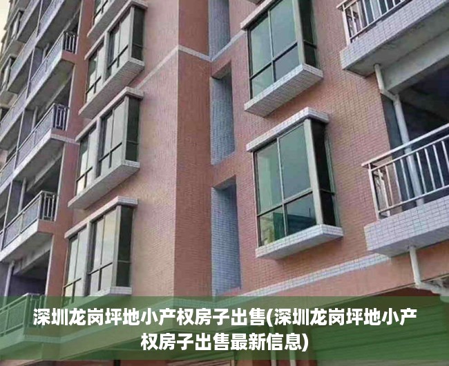 深圳龙岗坪地小产权房子出售(深圳龙岗坪地小产权房子出售最新信息) 深圳龙岗坪地小产权房子出售(深圳龙岗坪地小产权房子出售最新信息)