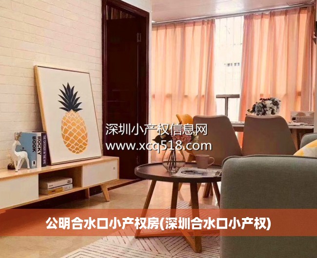 公明合水口小产权房(深圳合水口小产权)