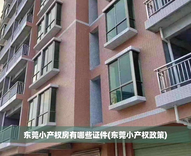 东莞小产权房有哪些证件(东莞小产权政策) 东莞小产权房有哪些证件(东莞小产权政策)