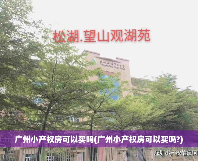 广州小产权房可以买吗(广州小产权房可以买吗?) 广州小产权房可以买吗(广州小产权房可以买吗?)
