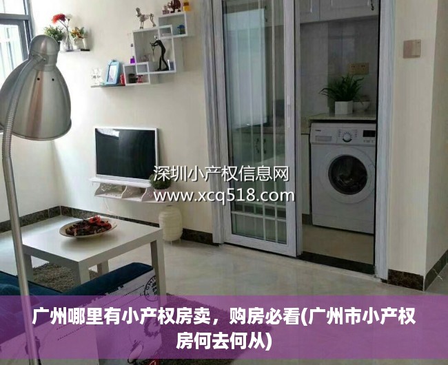 广州哪里有小产权房卖，购房必看(广州市小产权房何去何从)
