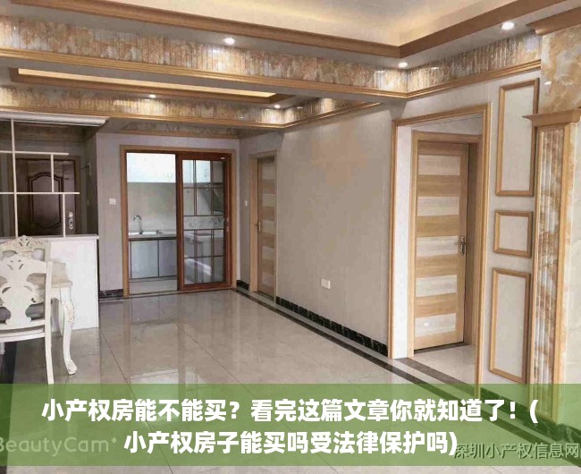 小产权房能不能买？看完这篇文章你就知道了！(小产权房子能买吗受法律保护吗)