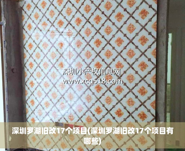 深圳罗湖旧改17个项目(深圳罗湖旧改17个项目有哪些)