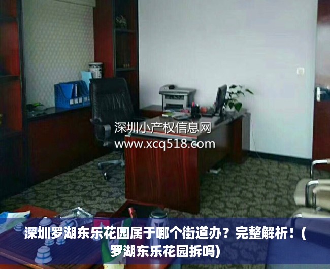 深圳罗湖东乐花园属于哪个街道办？完整解析！(罗湖东乐花园拆吗)