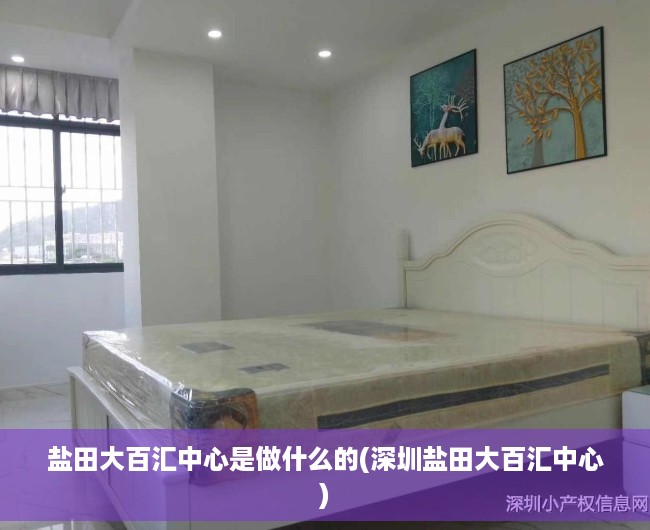 盐田大百汇中心是做什么的(深圳盐田大百汇中心) 盐田大百汇中心是做什么的(深圳盐田大百汇中心)