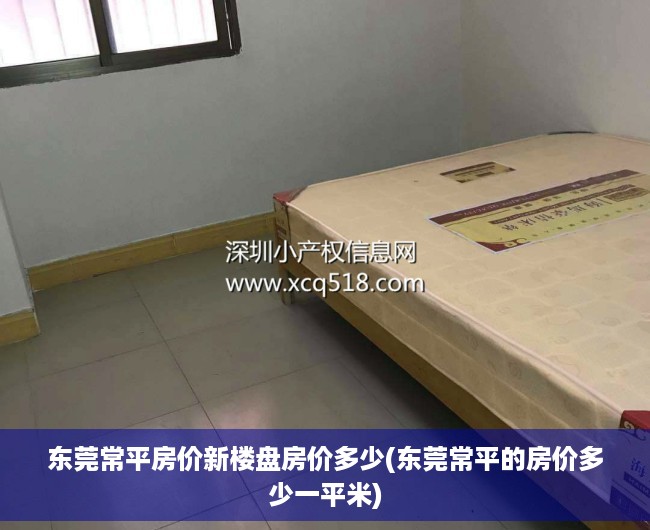 东莞常平房价新楼盘房价多少(东莞常平的房价多少一平米)