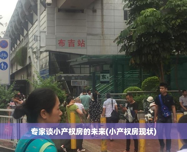 专家谈小产权房的未来(小产权房现状)
