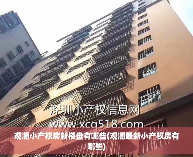 观澜小产权房新楼盘有哪些(观澜最新小产权房有哪些)