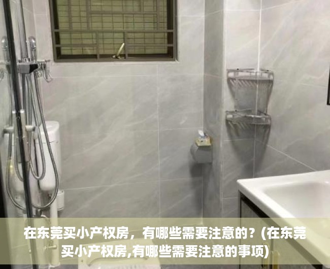 在东莞买小产权房，有哪些需要注意的？(在东莞买小产权房,有哪些需要注意的事项)