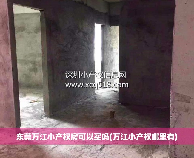 东莞万江小产权房可以买吗(万江小产权哪里有) 东莞万江小产权房可以买吗(万江小产权哪里有)