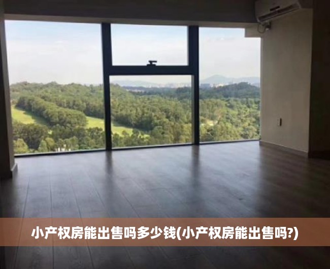 小产权房能出售吗多少钱(小产权房能出售吗?) 小产权房能出售吗多少钱(小产权房能出售吗?)