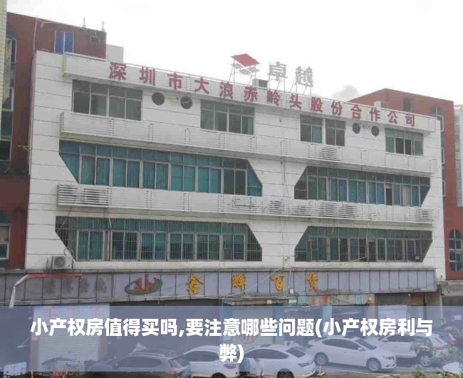 小产权房值得买吗,要注意哪些问题(小产权房利与弊) 小产权房值得买吗,要注意哪些问题(小产权房利与弊)