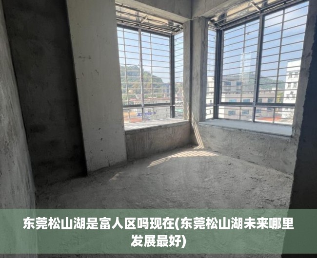 东莞松山湖是富人区吗现在(东莞松山湖未来哪里发展最好)