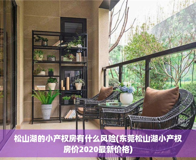 松山湖的小产权房有什么风险(东莞松山湖小产权房价2020最新价格) 松山湖的小产权房有什么风险(东莞松山湖小产权房价2020最新价格)