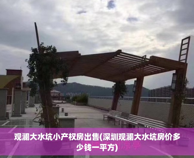 观澜大水坑小产权房出售(深圳观澜大水坑房价多少钱一平方)