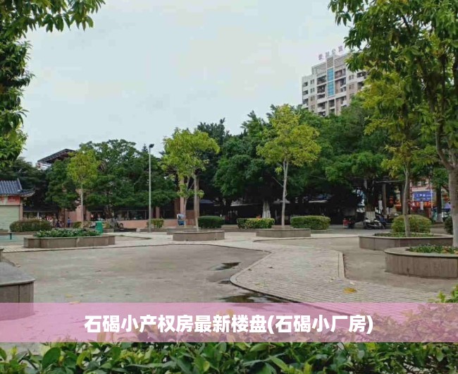 石碣小产权房最新楼盘(石碣小厂房) 石碣小产权房最新楼盘(石碣小厂房)
