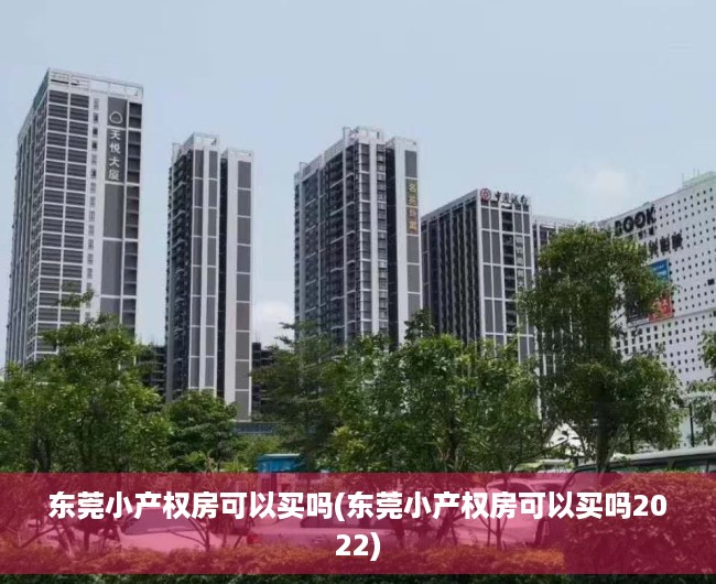 东莞小产权房可以买吗(东莞小产权房可以买吗2022) 东莞小产权房可以买吗(东莞小产权房可以买吗2022)