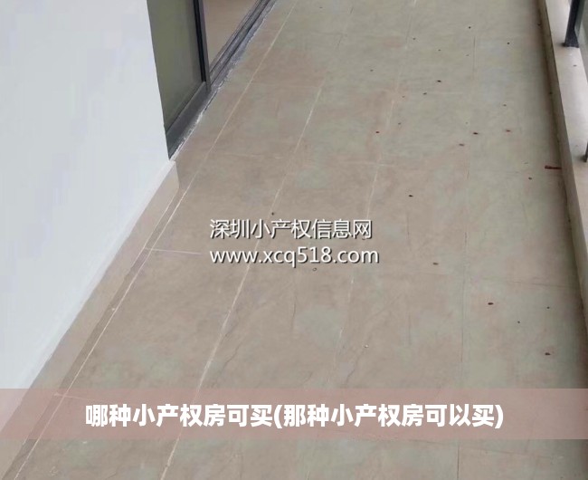 哪种小产权房可买(那种小产权房可以买) 哪种小产权房可买(那种小产权房可以买)