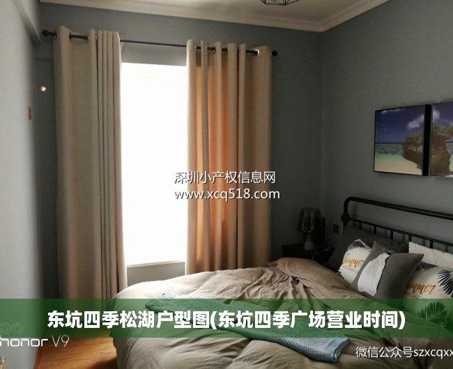 东坑四季松湖户型图(东坑四季广场营业时间)