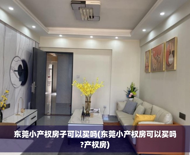 东莞小产权房子可以买吗(东莞小产权房可以买吗?产权房)