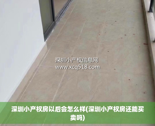 深圳小产权房以后会怎么样(深圳小产权房还能买卖吗) 深圳小产权房以后会怎么样(深圳小产权房还能买卖吗)