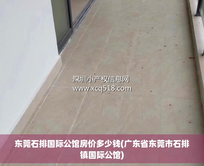 东莞石排国际公馆房价多少钱(广东省东莞市石排镇国际公馆)