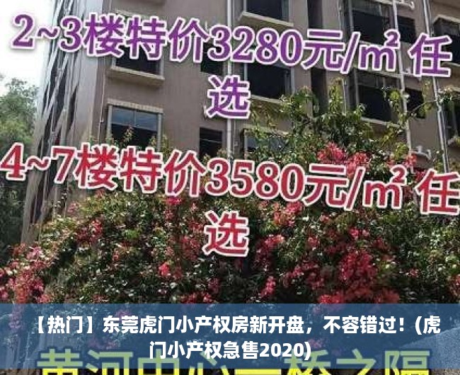 【热门】东莞虎门小产权房新开盘，不容错过！(虎门小产权急售2020)