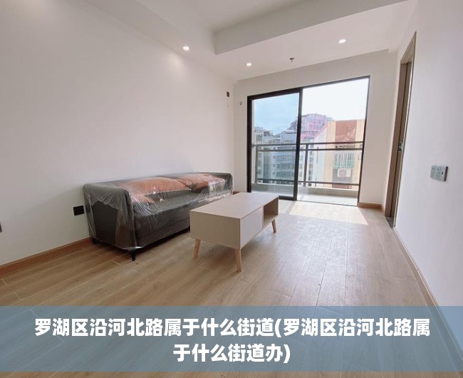 罗湖区沿河北路属于什么街道(罗湖区沿河北路属于什么街道办) 罗湖区沿河北路属于什么街道(罗湖区沿河北路属于什么街道办)