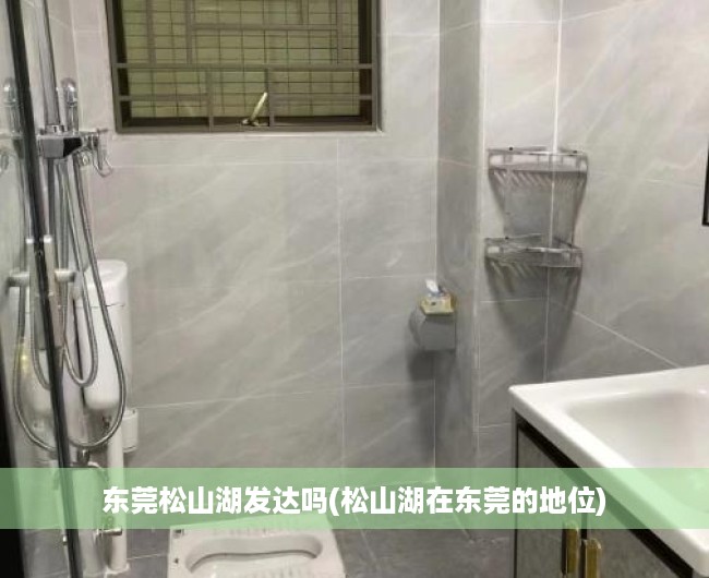 东莞松山湖发达吗(松山湖在东莞的地位)