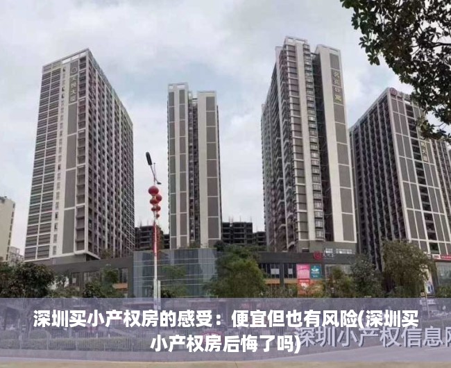 深圳买小产权房的感受：便宜但也有风险(深圳买小产权房后悔了吗)