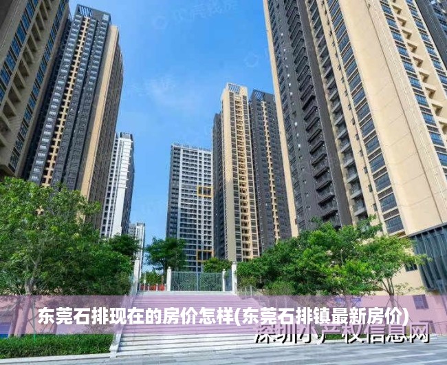 东莞石排现在的房价怎样(东莞石排镇最新房价) 东莞石排现在的房价怎样(东莞石排镇最新房价)