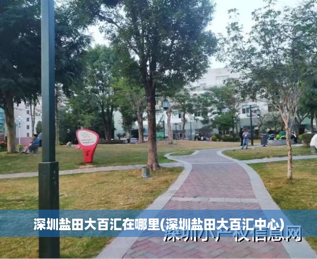 深圳盐田大百汇在哪里(深圳盐田大百汇中心) 深圳盐田大百汇在哪里(深圳盐田大百汇中心)