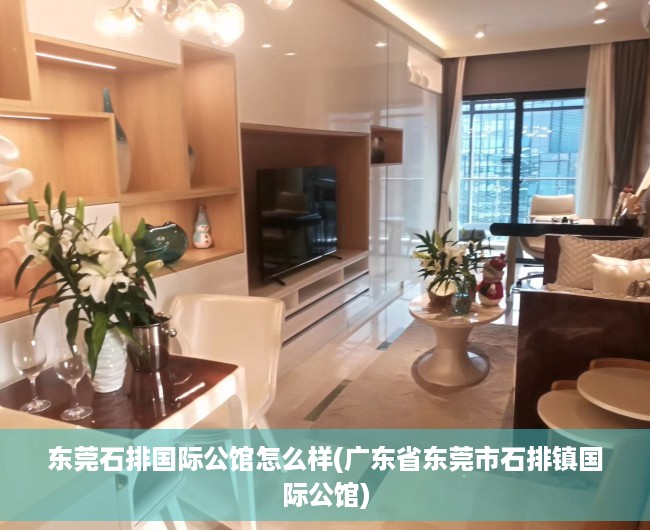 东莞石排国际公馆怎么样(广东省东莞市石排镇国际公馆)