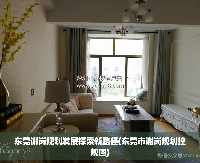 东莞谢岗规划发展探索新路径(东莞市谢岗规划控规图)