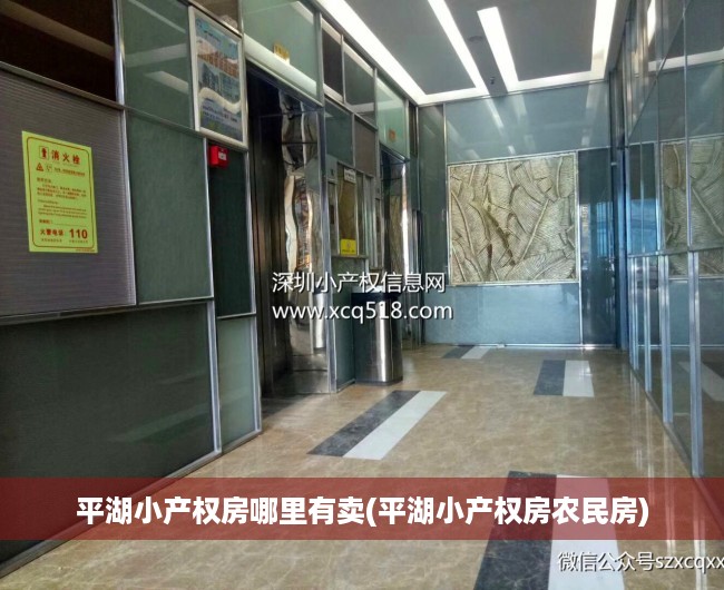 平湖小产权房哪里有卖(平湖小产权房农民房) 平湖小产权房哪里有卖(平湖小产权房农民房)
